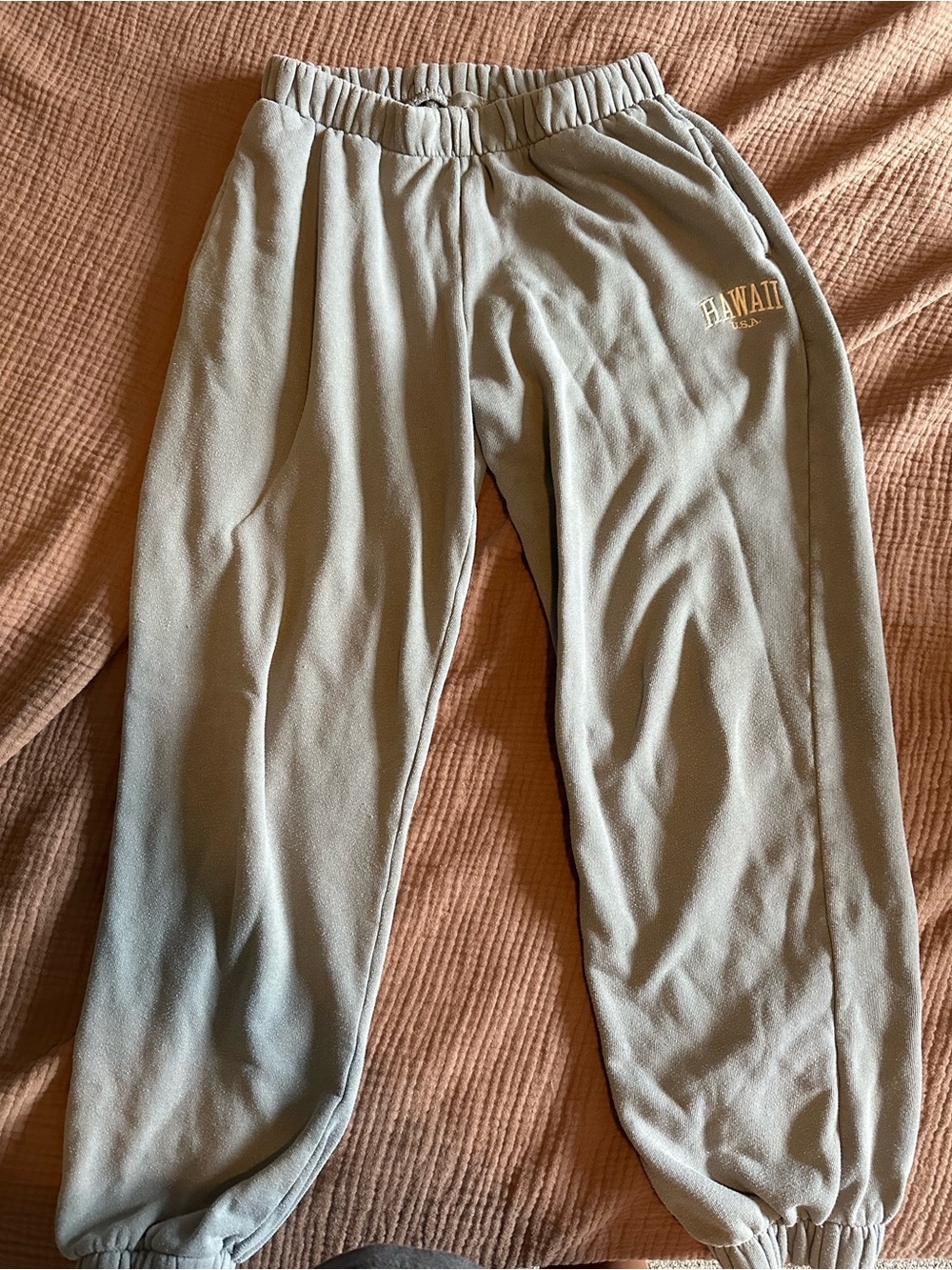 PacSun Light Sage 'Hawaii' Fleece Jogger Pants